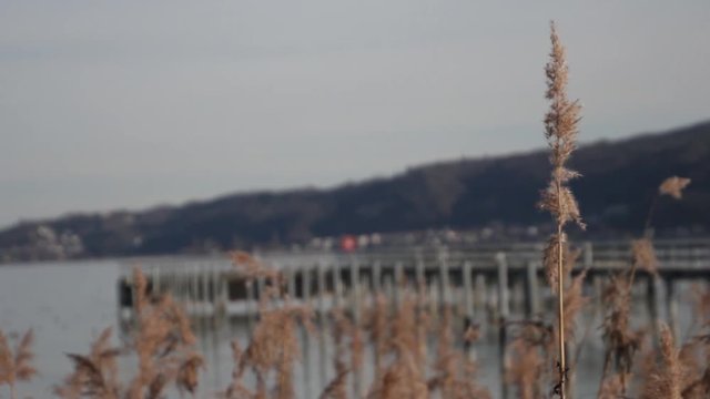 Bodensee Ufer