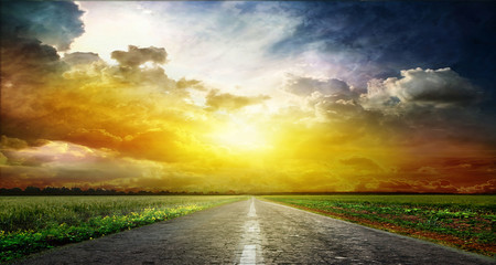 Bird and road on a decline © Vitaly Krivosheev