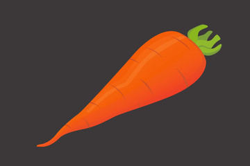 Set carrot vector illustration. Sliced