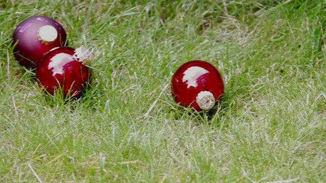 Christmas Red Balls on Green Grass