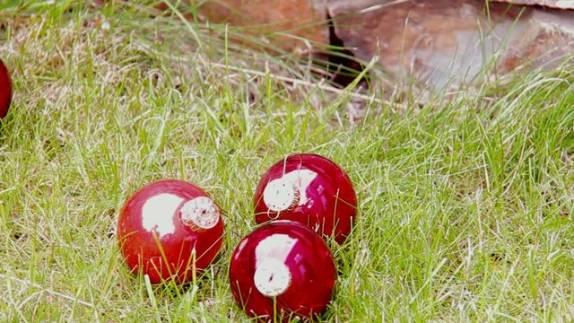 Christmas Red Balls on Green Grass