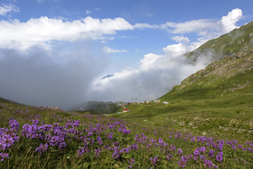 view of the highland  from north of turkey