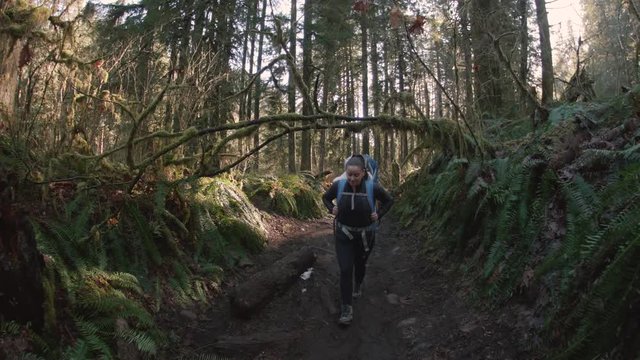 Steady Cam of Mom Hiking with Baby Backpack on Mossy Forest Trail