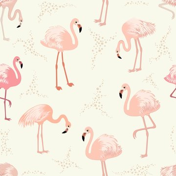 Seamless pattern with pink flamingos