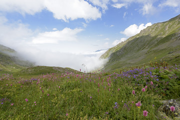 Fototapeta premium view of the highland from north of turkey