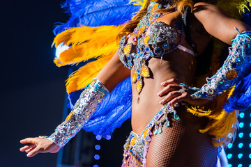 Beautiful bright colorful carnival costume dark background. samba dancer hips carnival costume...