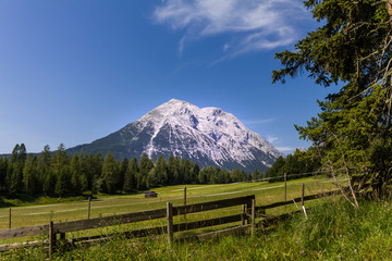 Bergwiesen am Fuß der Hohen Munde in Tirol 