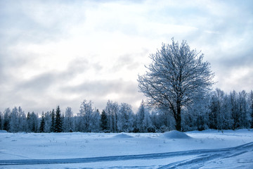The short winter day in northern Russia. Karelia