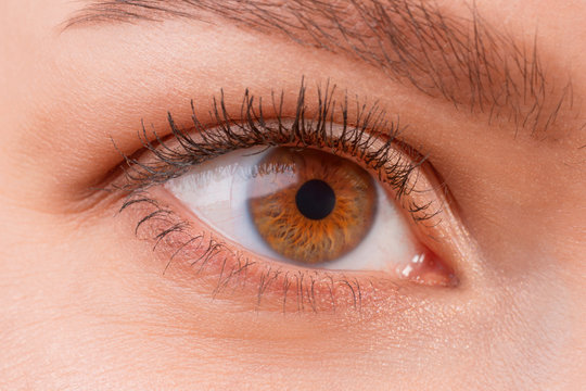 Brown female eye wearing contact lenses