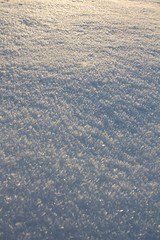 White clear snow for background.