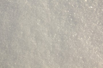 White clear snow for background.