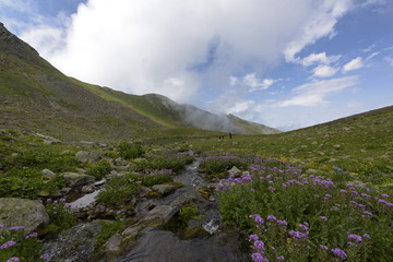 Fototapeta na wymiar view of the highland from north of turkey