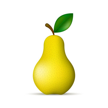 Yellow pear realistic isolated illustration. Vector.