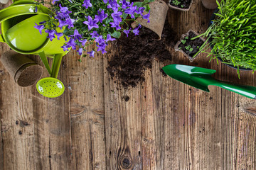 Gardening tools and flowers on wooden table.