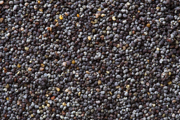 Poppy seeds