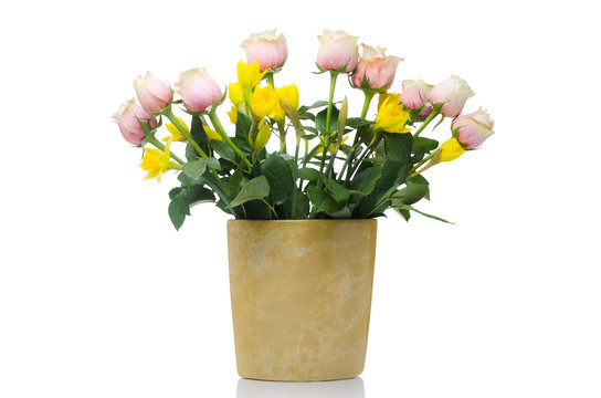 Osterblumen in Blumentopf