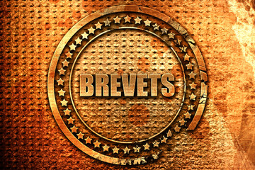 French text "brevets" on grunge metal background, 3D rendering