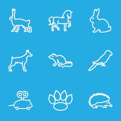 Set of 9 pet outline icons