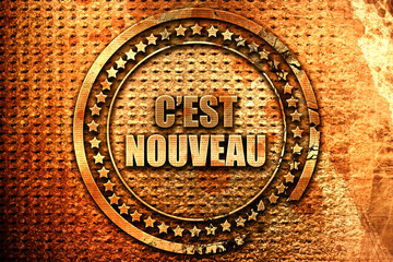 French text "c est nouveau" on grunge metal background, 3D rende