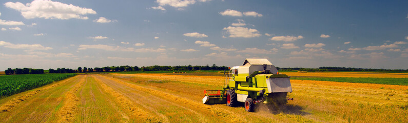 Combine harvester harvesting wheat during harvest on sunny summer day