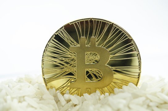 Shiny gold bitcoin coin