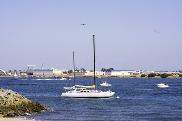 Sailboats in the bay at San Diego,California