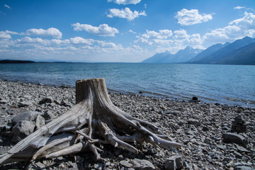 See in Yellowstone National Park