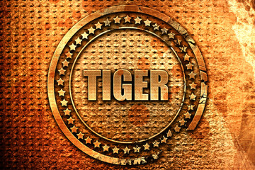 tiger, 3D rendering, metal text