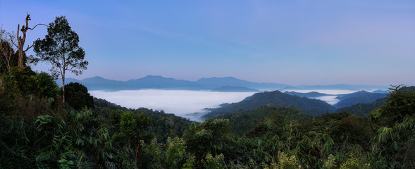 Fototapeta na wymiar Tropical rain forest misty mountain forest