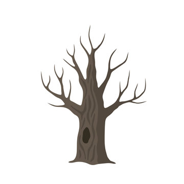 Vector flat dead old tree isolated. Brown oak tree with hollow on white background.
