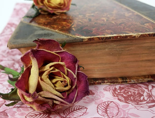 Obraz premium Stillleben aus der antiken Bibliothek