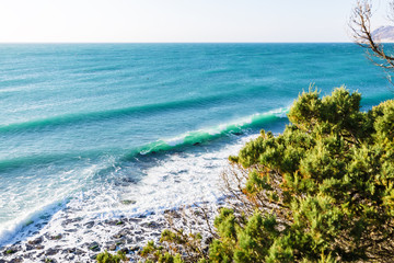 Turquoise rolling wave slamming on the rocks of the coastline. Sunny weather and tree
