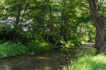 Amazing Summer Landscape of Pancharevo lake, Sofia city Region, Bulgaria
