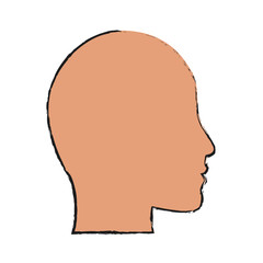 head profile icon over white background. vector illustration