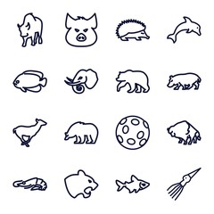 Set of 16 wildlife outline icons