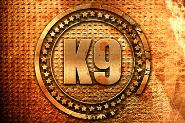 k9, 3D rendering, metal text