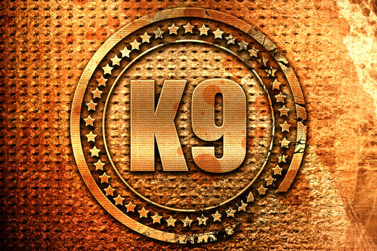 K9, 3D Rendering, Metal Text