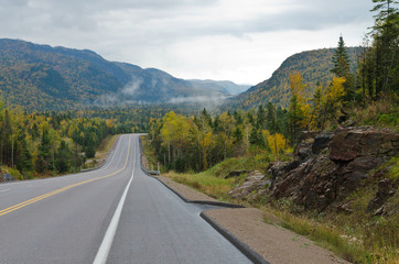 Autumn road