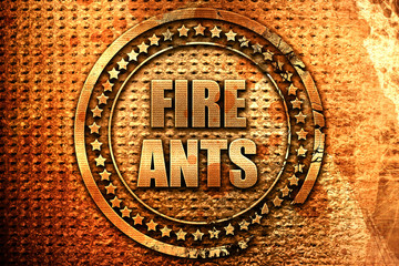 fire ants, 3D rendering, metal text