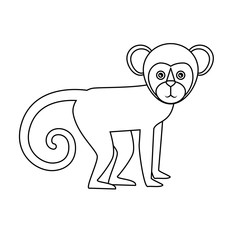 brazilian monkey isolated icon vector illustration design