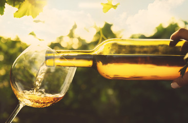 Pouring wine into glass on blurred nature background - obrazy, fototapety, plakaty