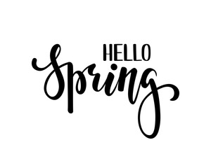 Fototapeta na wymiar Hello Spring. Hand drawn calligraphy and brush pen lettering. design for holiday greeting card and invitation