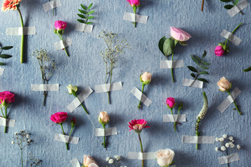 Composition of beautiful flowers taped to color background