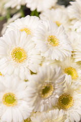 closeup a lot of flowers for bouquet