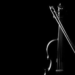Violin bow orchestra musical instruments © Alenavlad