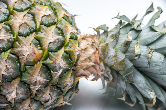 パイナップル クローズアップ