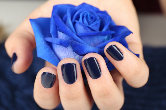 Nail art concept. Beautiful female hand with neat manicure holding blue rose