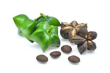 fresh sacha inchi isolated on white background
