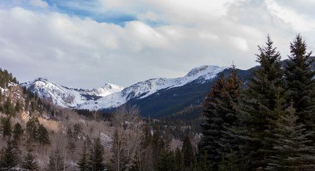 Snowy Mountains with Pine Trees