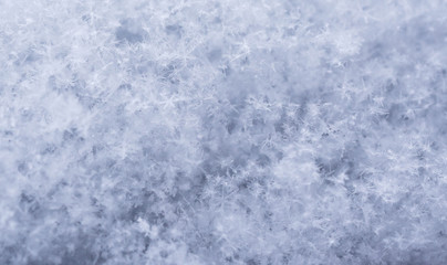 Snow Texture